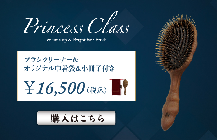 Princess Class